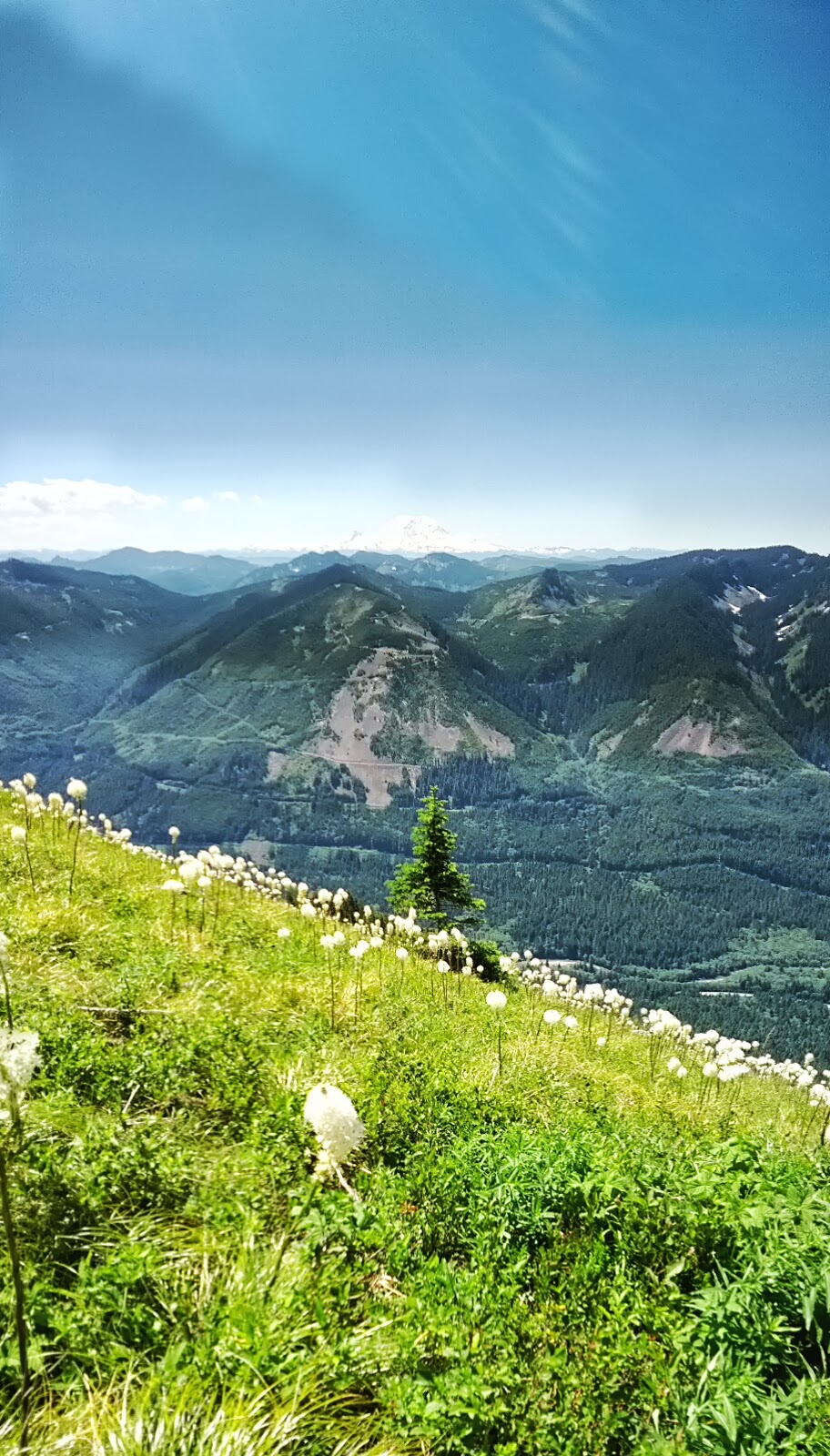Bandera Mountain vertical panorama