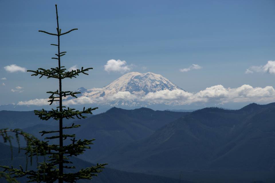 View from Mount Teneriffe